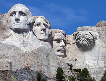 Mount Pugmore Mount Pugmore
