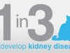 IDEXX SDMA test can help spot kidney disease in cats months or years sooner.