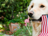 11 Pets Sound Off for Independence Day
