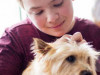 A person looks through fur on a dog's head.