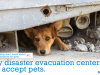 Many disaster evacuation centers can't accept pets