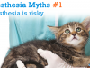 Anesthesia Myths