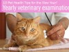 Yearly veterinary examinations