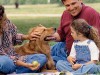 9 Tips for Having a Dog Safe Picnic