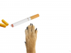 Are Electronic Cigarettes Poisonous to Dogs?