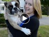 Blonde girl holding an English Bulldog