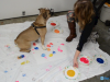 Painting with Pups