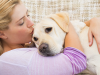 5 Tips for Surviving Your Dog’s Cancer Treatment