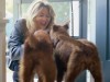 Woman greeting her dogs at the door