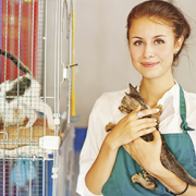 Five Ways to Help Your Local Shelter