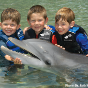 kids with a dolphin