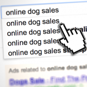 USDA Moves to Regulate Internet Pet Sales