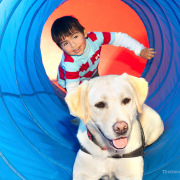 Can Dogs Help Children With Autism?