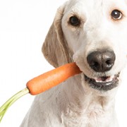 Can the Right Kind of Vegetables Combat Cancer Cells?