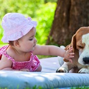 Dog and Baby Compete to Say “Mama” First, A Veterinarian Weighs In