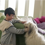 Dog Hero takes a Bullet in Defense of her Family