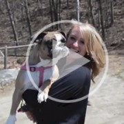 Dog Parks 2.0