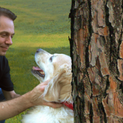 thankful pet dr. phil zeltzman 
