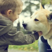 Fighting Lyme Disease in Pets and People 