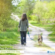 5 Ways for Dog Lovers to Feel Extra Awesome