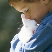Hero Bunnies save a Family from Fire