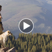 Hiking Causes Three Dogs to Die, One to Faint: How to Keep Your Dog Safe