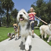 Medical Questions to Ask a Prospective Pet Sitter