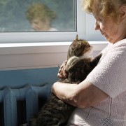 Not Even a Fire Could Stop this Determined Cat Guardian 