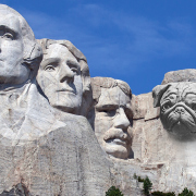 Presidential Pets