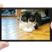 New Technology Will Let You Play with your Dog or Cat Anywhere!