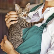 Volunteer holding a shelter cat