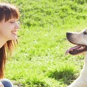 Do Dogs Recognize Human Faces?