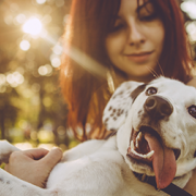 New Legislation Will Protect Pets Involved in Domestic Violence