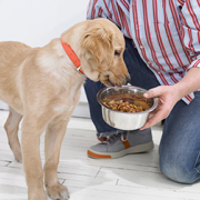 Second Company Recalls Dog Food Due to Listeria Concerns