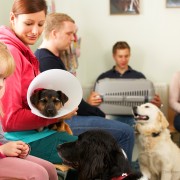 Solving More Common Health Industry Complaints