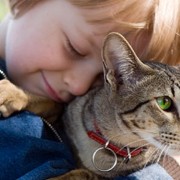 This Year’s Hero Dog Award Goes to… a Cat?