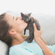 Supporting Feline Health Research