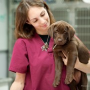 Veterinary Technician Week!