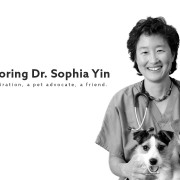 Dr. Sophia Yin, a Forever Friend