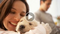 7 Priceless Reactions to a New Puppy