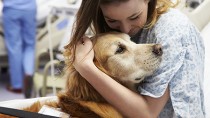 Therapy dog comforting a woman at the hospital 