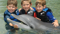 kids with a dolphin