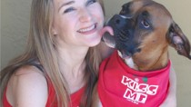 holiday pet gifts