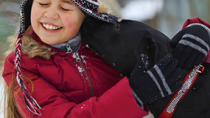 Police Dog Rescues 7 Year Old Girl from a Freezing Snow Hole