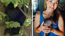 Monkey and Dr. Ruth MacPete holding an armadillo