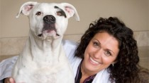 No good time to lose a dog like this cute white dog