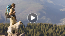 Hiking Causes Three Dogs to Die, One to Faint: How to Keep Your Dog Safe