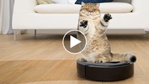 Is it a Vacuum or a Fancy Car for Pets?