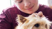 A person looks through fur on a dog's head.