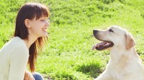 Do Dogs Recognize Human Faces?